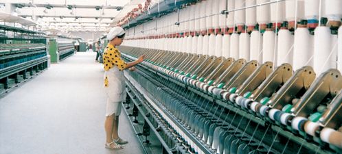 棉花發(fā)展簡史 作物的價值和可持續(xù)的意義