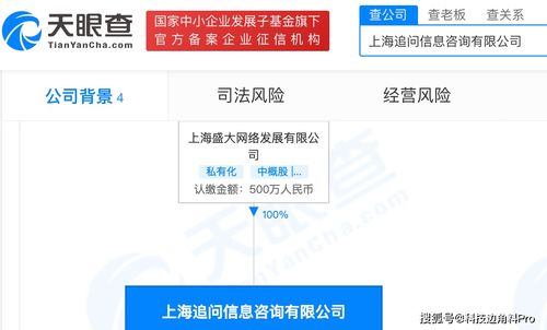 盛大網(wǎng)絡(luò)再落子 成立上海追問信息咨詢公司，注冊(cè)資本500萬元深耕信息咨詢服務(wù)